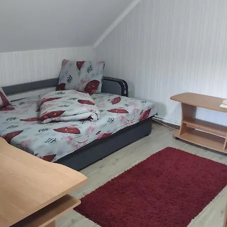 Ріточка Apartment Berehove  Exterior photo